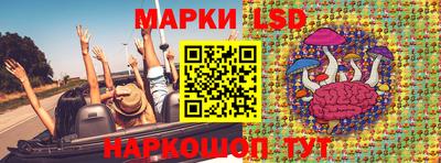 крисы Камышлов