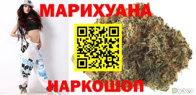 крисы Камышлов
