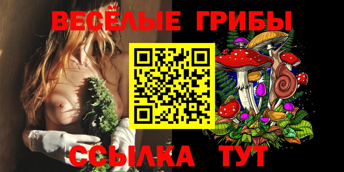 Псилоцибиновые грибы мухоморы Кузнецк